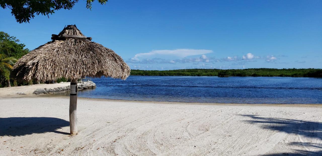 Tiny House Rv, Kayak Otel Key Largo Dış mekan fotoğraf