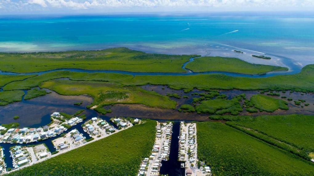 Tiny House Rv, Kayak Otel Key Largo Dış mekan fotoğraf